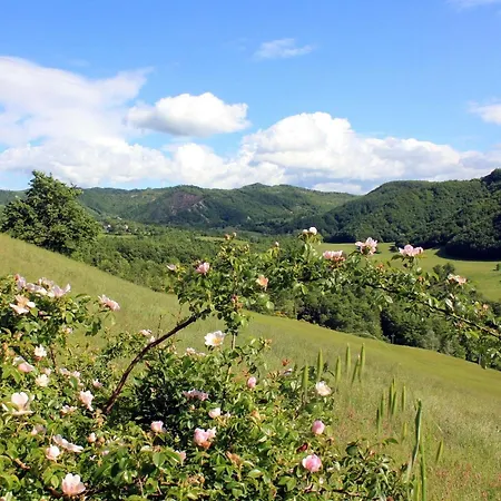 Appartamento Cozy With Garden Patio Storage Deckchairs Bbq