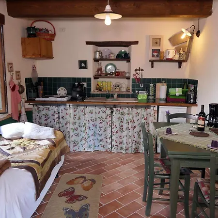 Cozy With Garden Patio Storage Deckchairs Bbq * Pennabilli