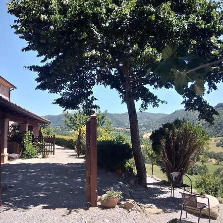 Cozy With Garden Patio Storage Deckchairs Bbq *