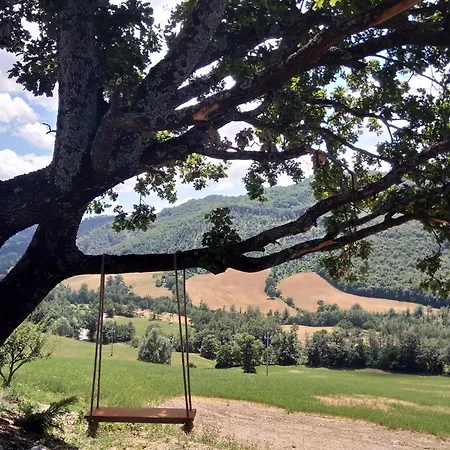 Appartamento Cozy With Garden Patio Storage Deckchairs Bbq
