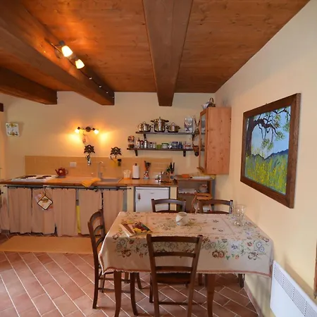 Cozy With Garden Patio Storage Deckchairs Bbq Appartamento