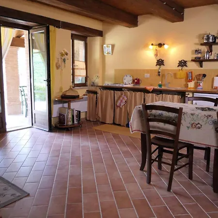 Cozy With Garden Patio Storage Deckchairs Bbq