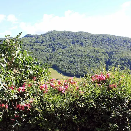 Cozy With Garden Patio Storage Deckchairs Bbq *