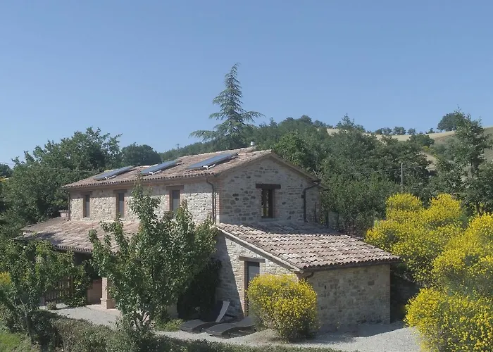 Cozy With Garden Patio Storage Deckchairs Bbq * Pennabilli