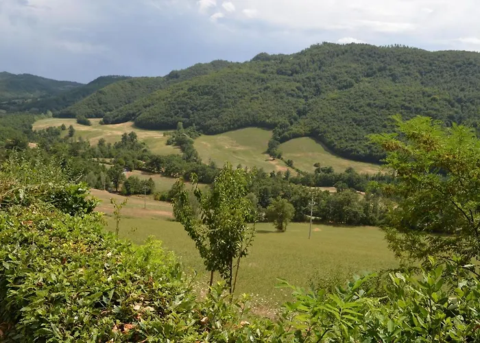 Cozy With Garden Patio Storage Deckchairs Bbq Daire Pennabilli