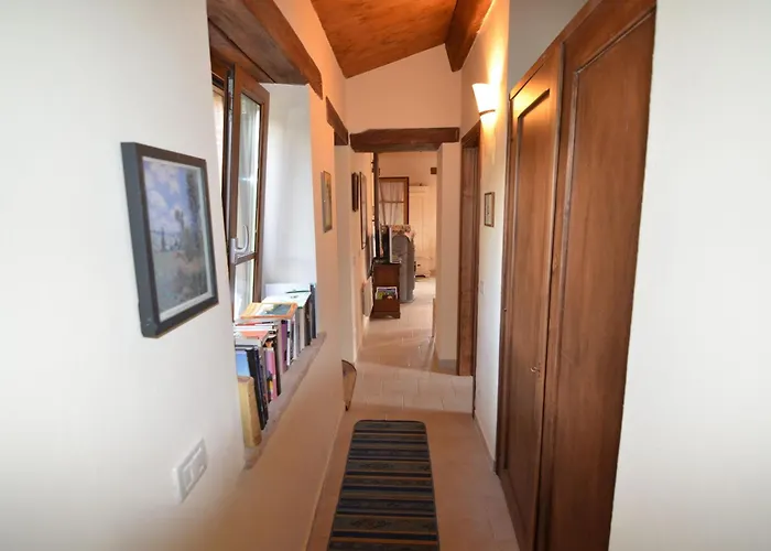 Cozy With Garden Patio Storage Deckchairs Bbq *