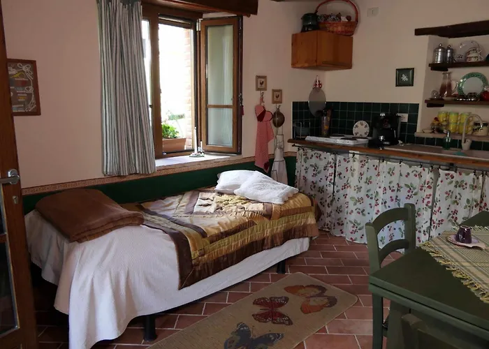 Cozy With Garden Patio Storage Deckchairs Bbq Daire