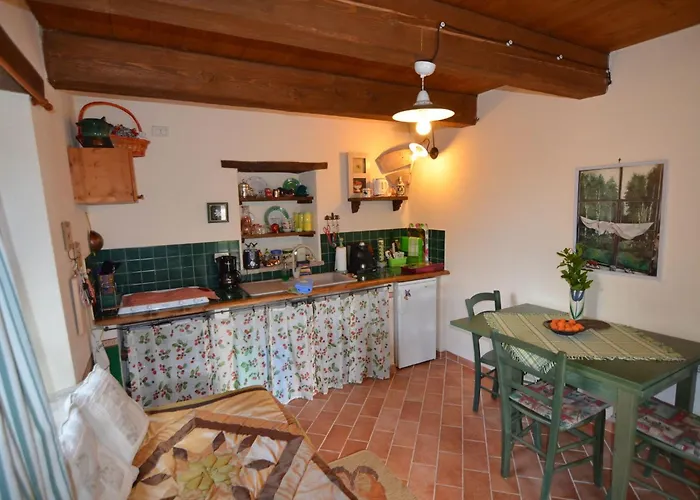 Cozy With Garden Patio Storage Deckchairs Bbq