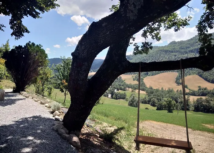 Cozy With Garden Patio Storage Deckchairs Bbq Daire