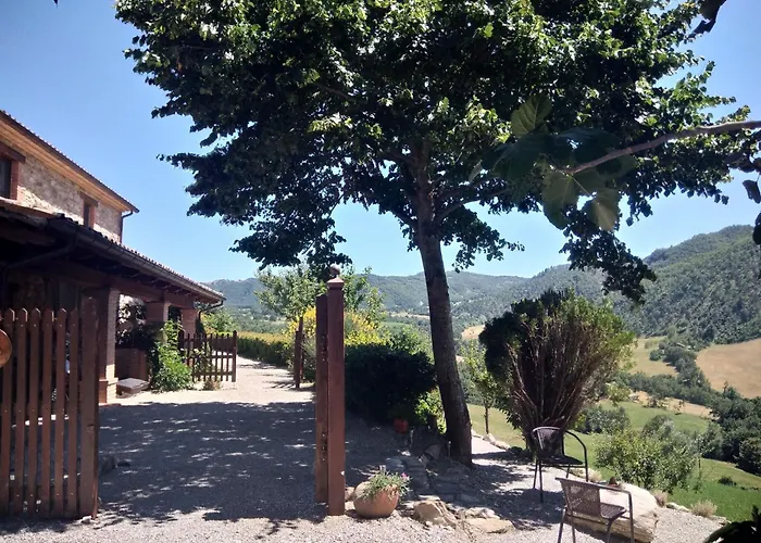 Cozy With Garden Patio Storage Deckchairs Bbq *