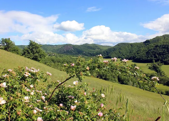 Cozy With Garden Patio Storage Deckchairs Bbq * Pennabilli