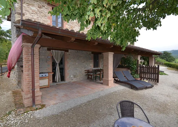 Cozy With Garden Patio Storage Deckchairs Bbq Pennabilli