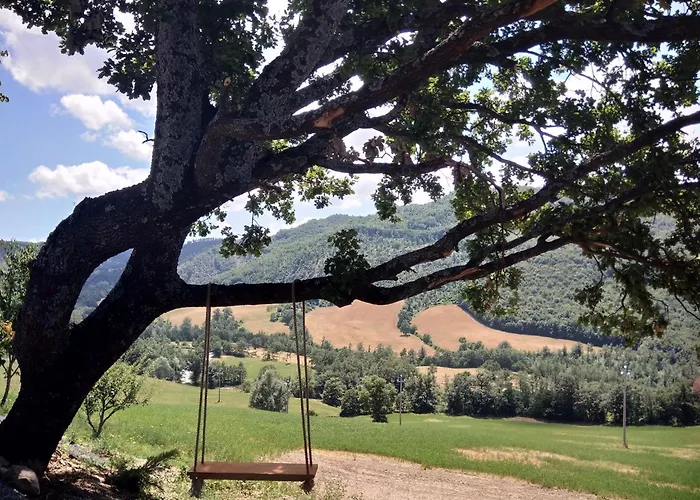 Daire Cozy With Garden Patio Storage Deckchairs Bbq