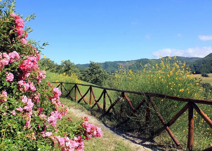 Cozy With Garden Patio Storage Deckchairs Bbq