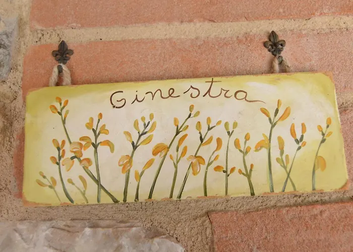 Cozy With Garden Patio Storage Deckchairs Bbq