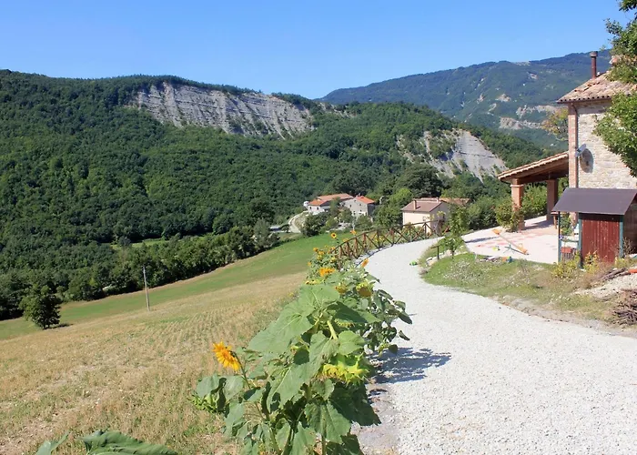 Cozy With Garden Patio Storage Deckchairs Bbq *