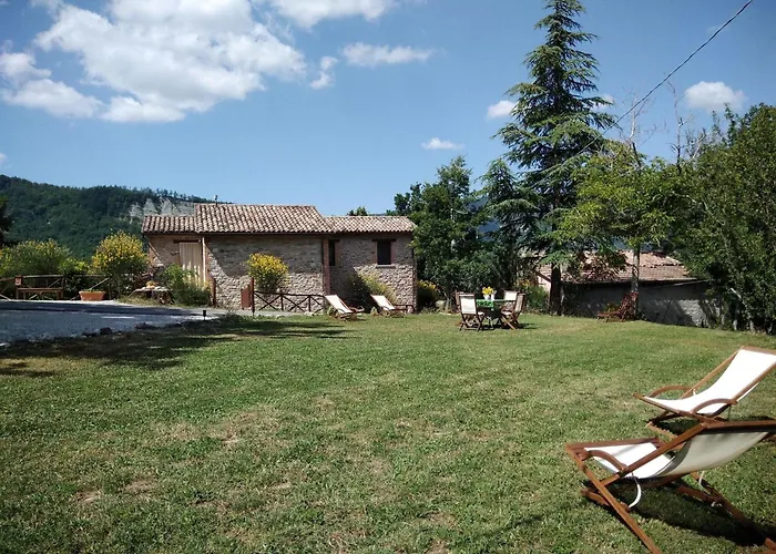 Cozy With Garden Patio Storage Deckchairs Bbq Pennabilli